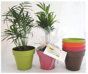 Plante pot écolo | Plante publicitaire 10