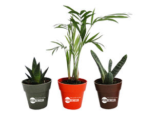 Plante pot écolo | Plante publicitaire 11