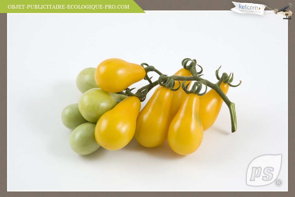 Tomate Poire jaune