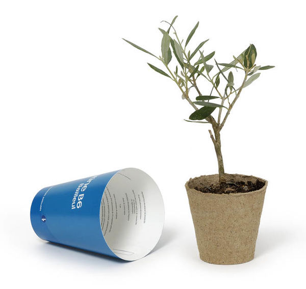 Plant De Pin Pot Biodégradable | Objet Publicitaire Écologique