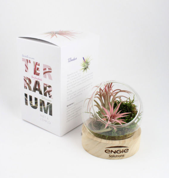 Terrarium socle | Terrarium publicitaire 4