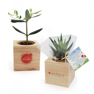 Cube bois arbre | Arbre personnalisable