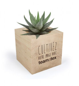 Cube bois arbre | Arbre personnalisable 1