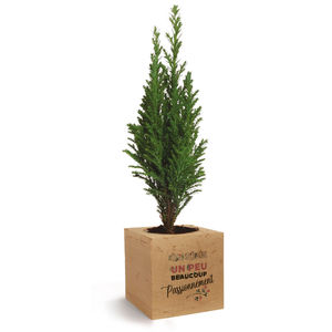 Cube bois arbre | Arbre personnalisable 3