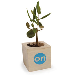 Cube bois arbre | Arbre personnalisable 4
