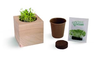 Cube bois graines | Cube bois graines personnalisé 2