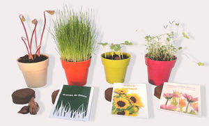 Kit De Plantation Pot Bambou | Objet Publicitaire Écologique 3
