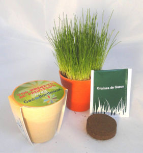 Kit De Plantation Pot Bambou | Objet Publicitaire Écologique 6