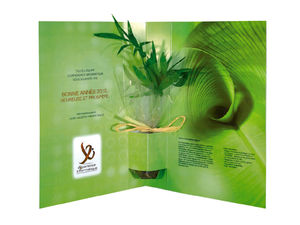 La Plante Postale | La Plante postale Écologique Publicitaire 3
