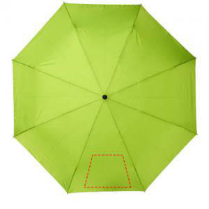 Parapluie Alina | Parapluie personnalisé Citron vert Vert Clair 1