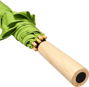 Parapluie Alina | Parapluie personnalisé Citron vert Vert Clair 2