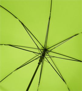 Parapluie Alina | Parapluie personnalisé Citron vert Vert Clair 3