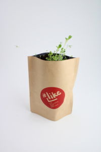 Pot kraft Pop-Up | Pot kraft publicitaire 3