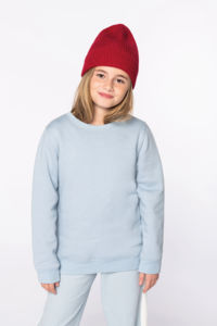 Sweat enfant éco | Sweat personnalisé Aquamarine 1