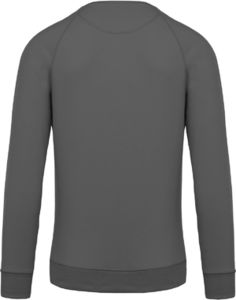 Sweat raglan H | Sweat personnalisé Gris