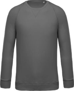 Sweat raglan H | Sweat personnalisé Gris 1