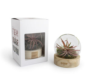 Terrarium socle | Terrarium publicitaire