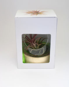 Terrarium socle | Terrarium publicitaire 1