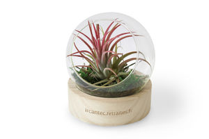 Terrarium socle | Terrarium publicitaire 2