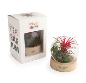 Terrarium socle | Terrarium publicitaire 6