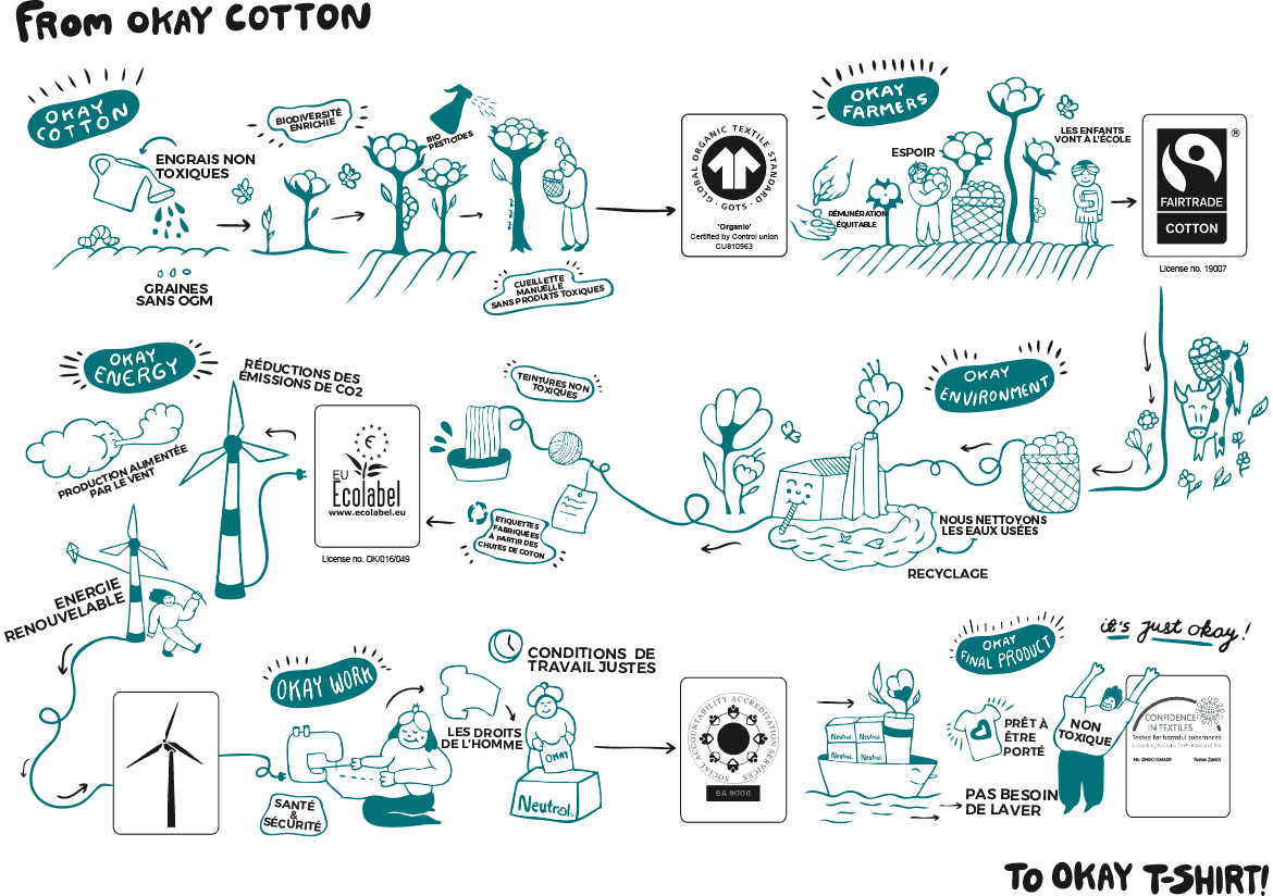 infographie-coton